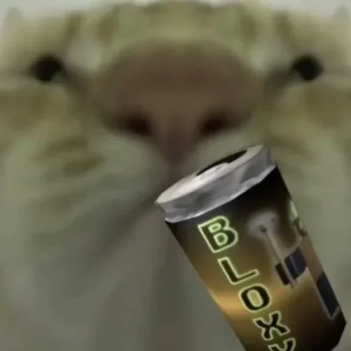 soft drink cup coffee