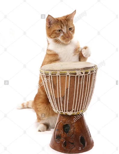 Sticker Bongo cat - 2