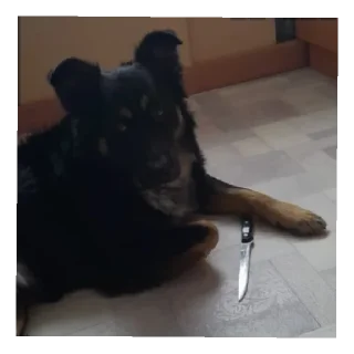 Sticker Бонифаций - 3