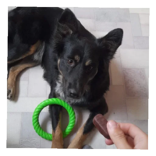 Sticker Bonifacij3 - 1