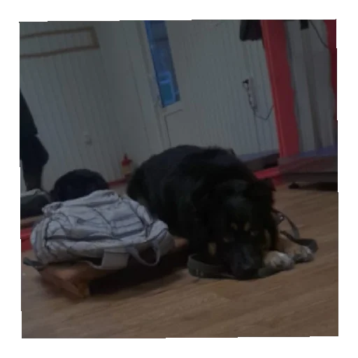 Бонифаций - 