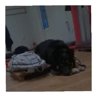 Sticker Бонифаций - 8