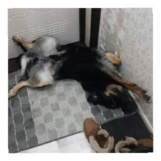 Sticker Бонифаций - 5