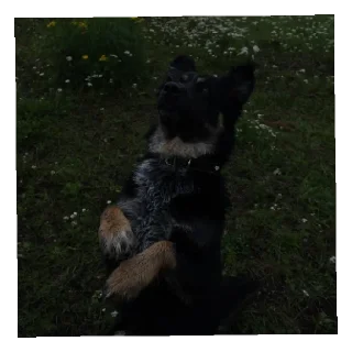 Sticker Бонифаций - 2