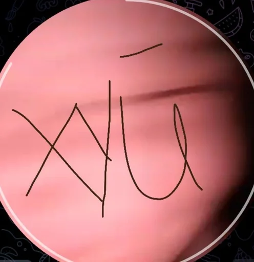 handwriting circle dishware