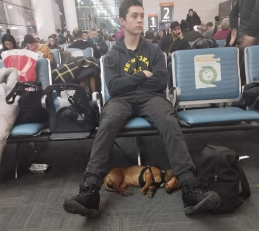 Стикер Booam - 1