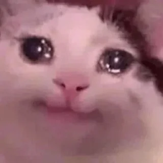 Стикер @BoobsSticker - 4