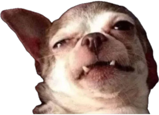 Стикер Bookazp - 1