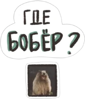 Sticker Книжный чат by @stopmasskva_tg - 6