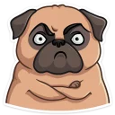 Стикер Желток :: @mosticks - 9