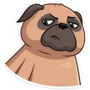 Стикер Желток :: @mosticks - 3