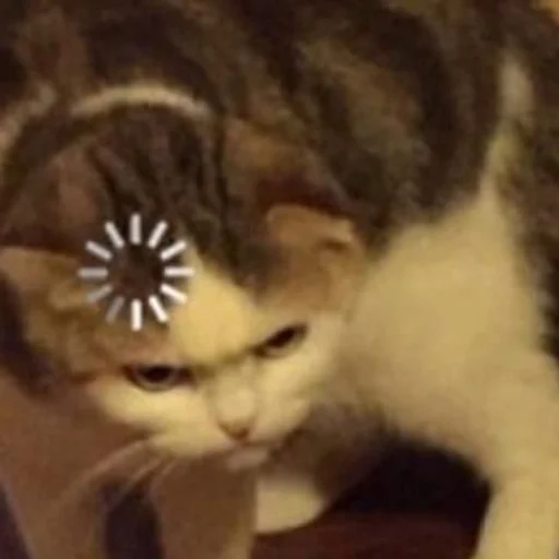 Стикер Bopeshka by @fStikBot - 10