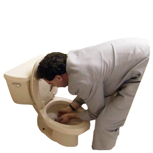 toilet bathroom person