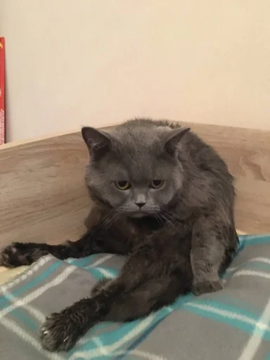 Sticker штучки математиков :: @fStikBot - 1