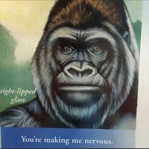 животное млекопитающее обезьяна