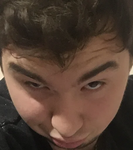 Стикер Borowik - 1