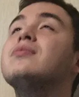 Sticker Боров - 7