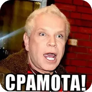 Sticker Боря,Валера,Филя,эстрада (лучшие стики) - 8