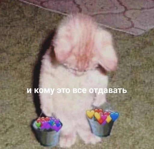 Sticker стики Айдайки 🤍 by @fStikBot - 9