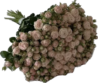 Sticker Boudoir13 - 1