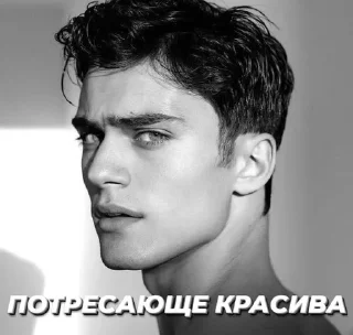 Стикер Bound by Mafia - 1