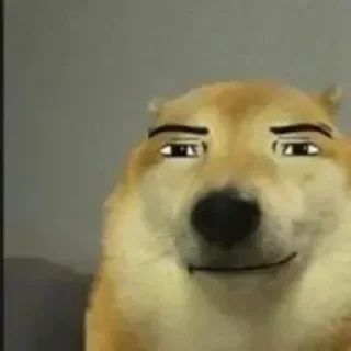 Стикер Малыш боузер | @m1khailbr_stickerbot - 2