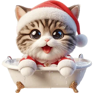 animal small to medium-sized cats felidae