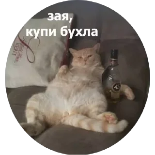 Sticker Bpx_9vDhtE - 5