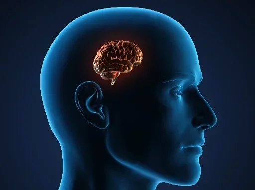 Sticker Brain_by_DbsBot - 1