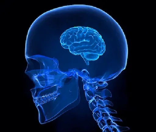 Sticker Brain_by_DbsBot - 1