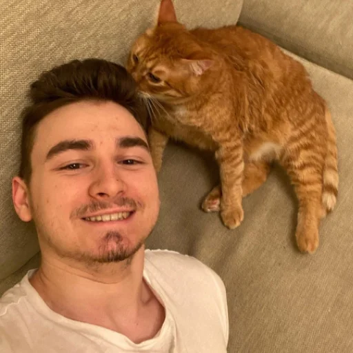 Человек кошка кошки малого и среднего размера