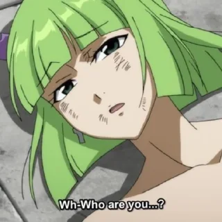 Sticker брандиш  / nalusy.ft - 1