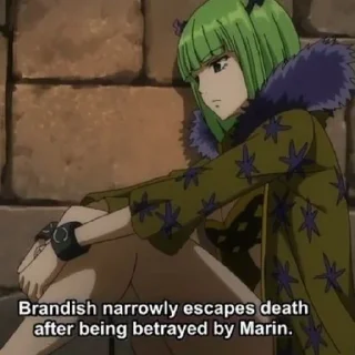 Sticker брандиш  / nalusy.ft - 8