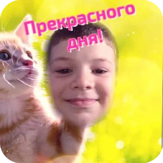 Стикер брат Арианы часть2 - 3