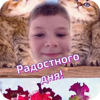 Стикер брат Арианы часть2 - 4