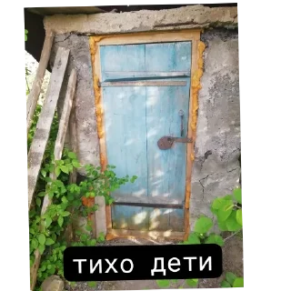 plant window building