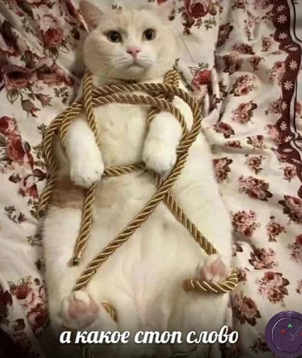 Sticker Хлебные Кисы ❤️ - 11