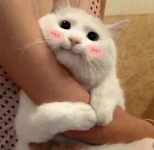 Sticker Хлебные Кисы ❤️ - 10