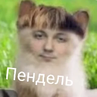 Стикер Брэд це шо - 2