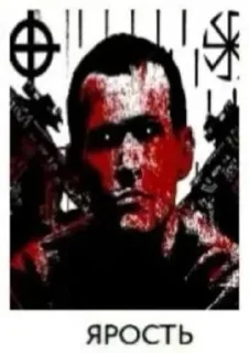 Sticker Brenton Tarrant @voenkomat1488 - 11