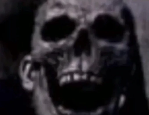 примат череп млекопитающее