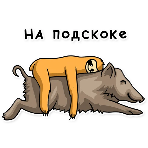 mammal animal cartoon