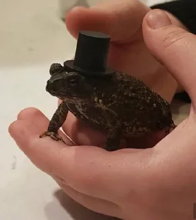 Sticker Rule Britannia! - 9