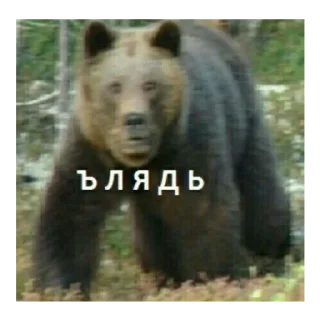 Стикер с кайфом - 5