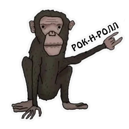 Sticker Broccoli_Academy - 1