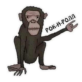 Sticker Broccoli Academy - 4