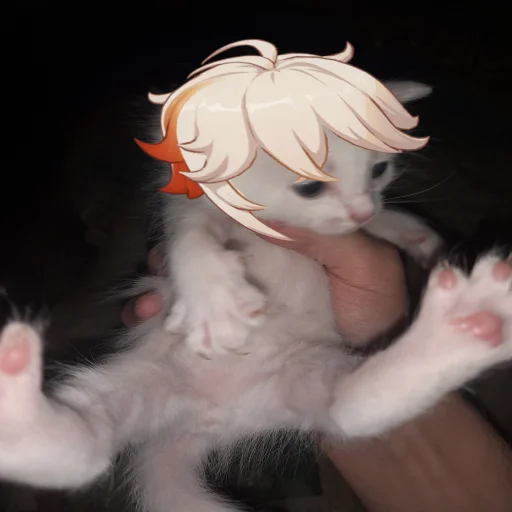 Sticker Brodya roflz @brodya_issue - 6