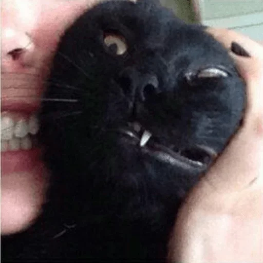 Sticker BrokenCat_by_e4zybot - 1