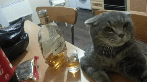 Sticker BrokenCat_by_e4zybot - 1