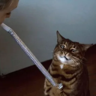 Sticker Broken Cat | @ll1k4 - 11